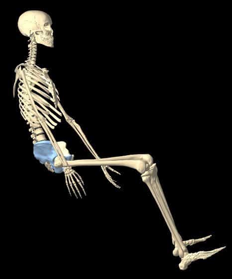 poor posture skeleton
