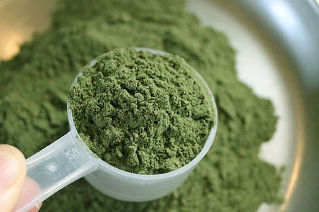 A Practical Guide To Supercharging Your Life With Kratom 1