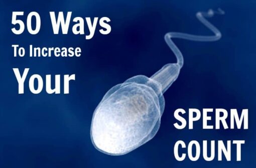 how to increase your sperm count