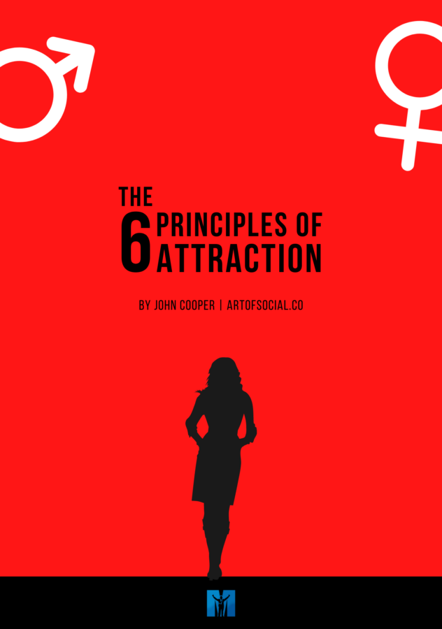 The 6 Principles of Atraction (Cover)