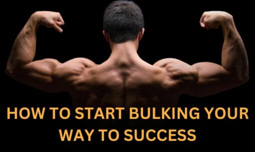 How to Start Bulking
