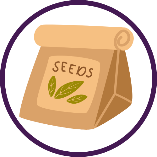 Seed